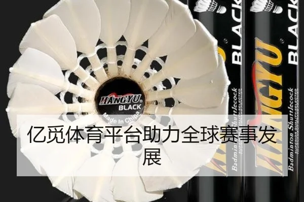 亿觅体育平台助力全球赛事发展